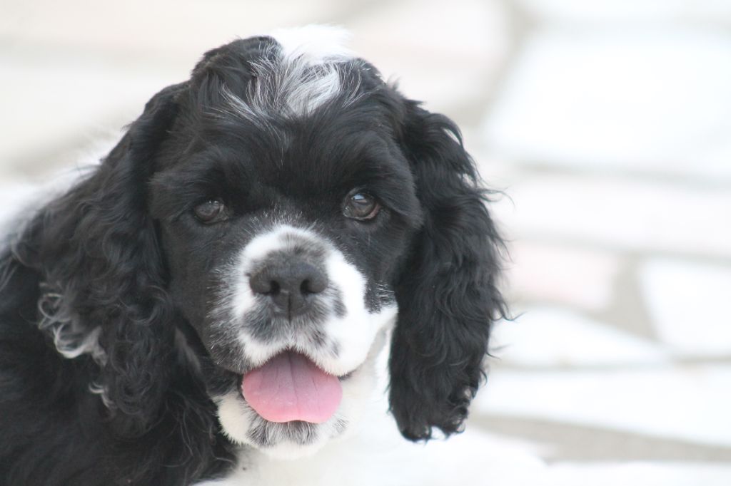 Meggie's Only For You dit John