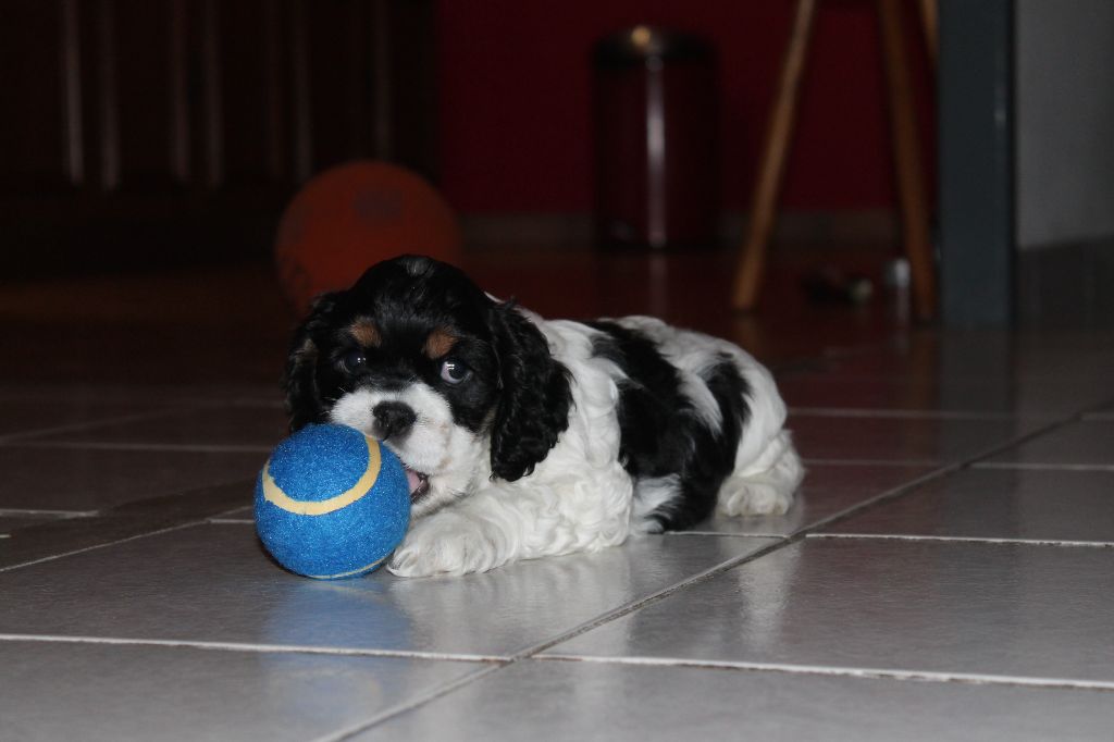 Meggie's Over The Rainbow