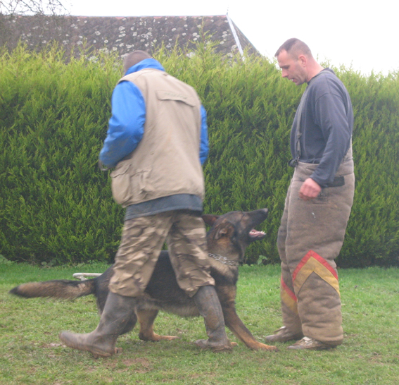 Publication : des Terres d'Avallon Auteur : BOYAVAL.S