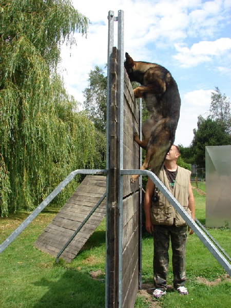 Publication : des Terres d'Avallon Auteur : BOYAVAL.S