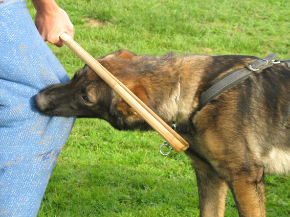 Publication : des Terres d'Avallon Auteur : BOYAVAL.S