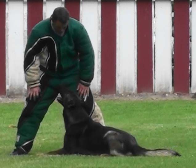 Publication : des Terres d'Avallon Auteur : BOYAVAL.S