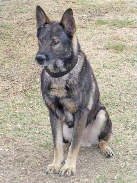 Publication : des Terres d'Avallon