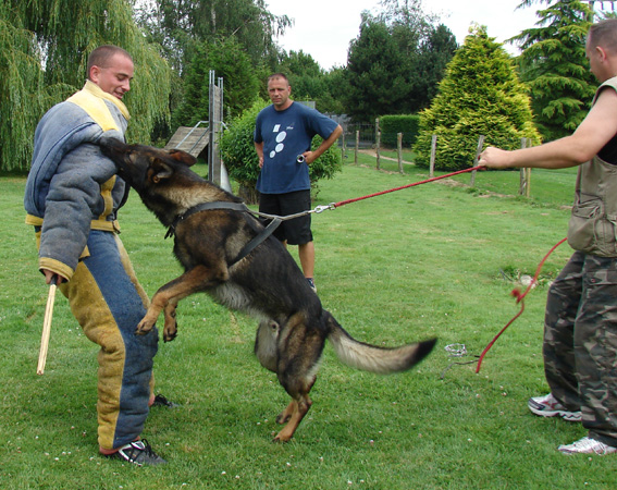 Publication : des Terres d'Avallon Auteur : BOYAVAL.S