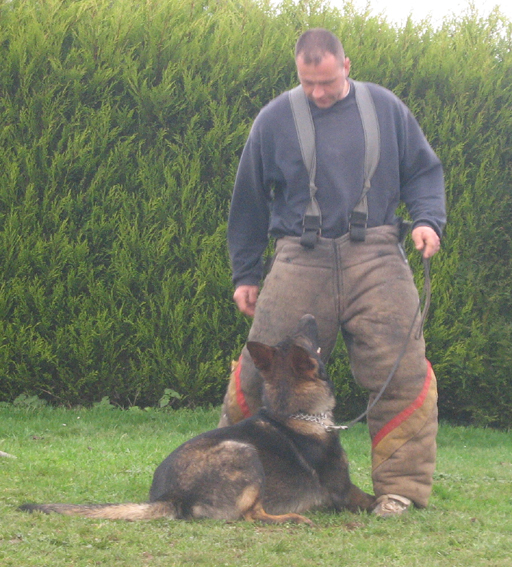 Publication : des Terres d'Avallon Auteur : BOYAVAL.S