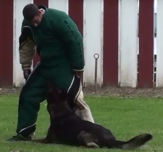 Publication : des Terres d'Avallon Auteur : BOYAVAL.S