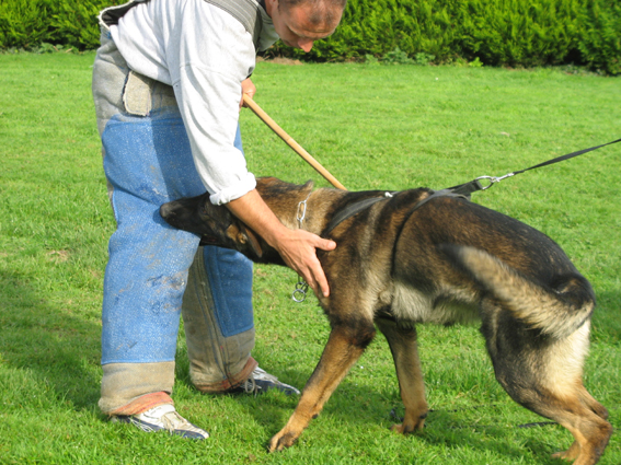Publication : des Terres d'Avallon Auteur : BOYAVAL.S