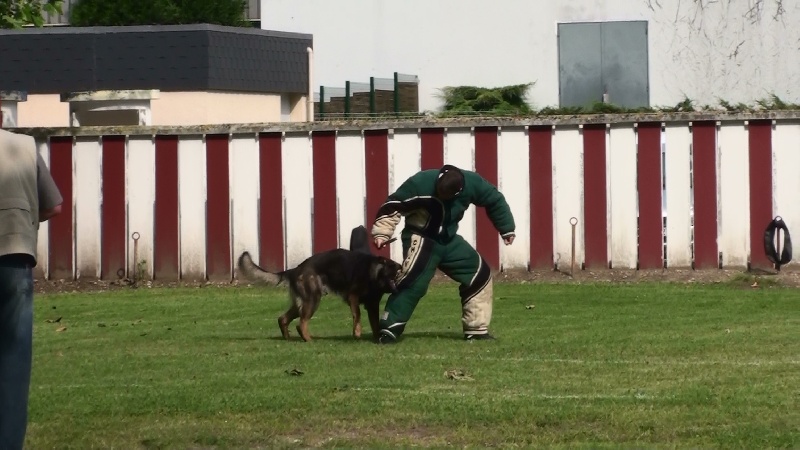 Publication : des Terres d'Avallon Auteur : BOYAVAL.S