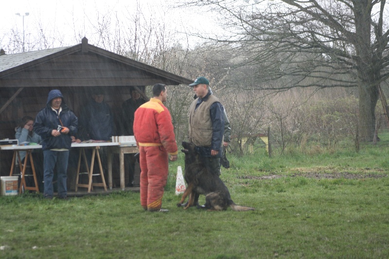 Publication : des Terres d'Avallon Auteur : BOYAVAL.S