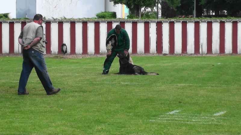 Publication : des Terres d'Avallon Auteur : BOYAVAL.S