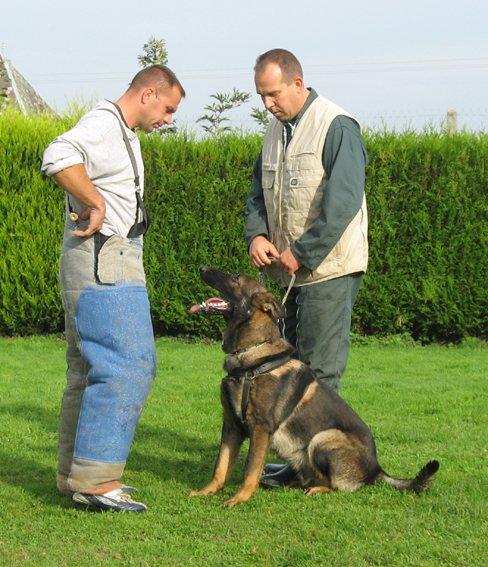 Publication : des Terres d'Avallon Auteur : BOYAVAL.S