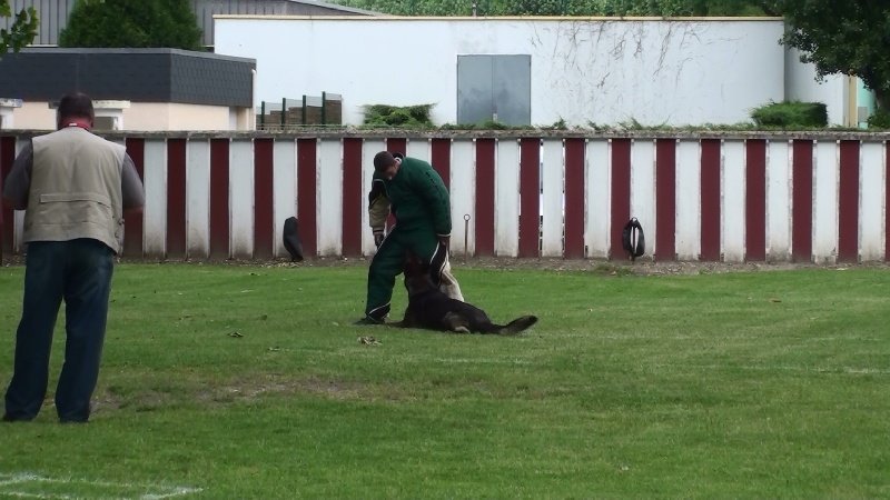 Publication : des Terres d'Avallon Auteur : BOYAVAL.S