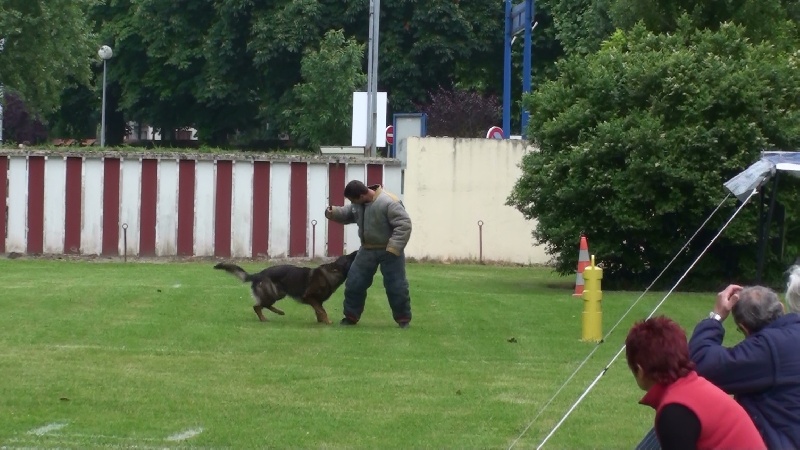 Publication : des Terres d'Avallon Auteur : BOYAVAL.S