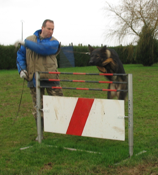 Publication : des Terres d'Avallon Auteur : BOYAVAL.S