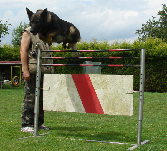 Publication : des Terres d'Avallon Auteur : BOYAVAL.S