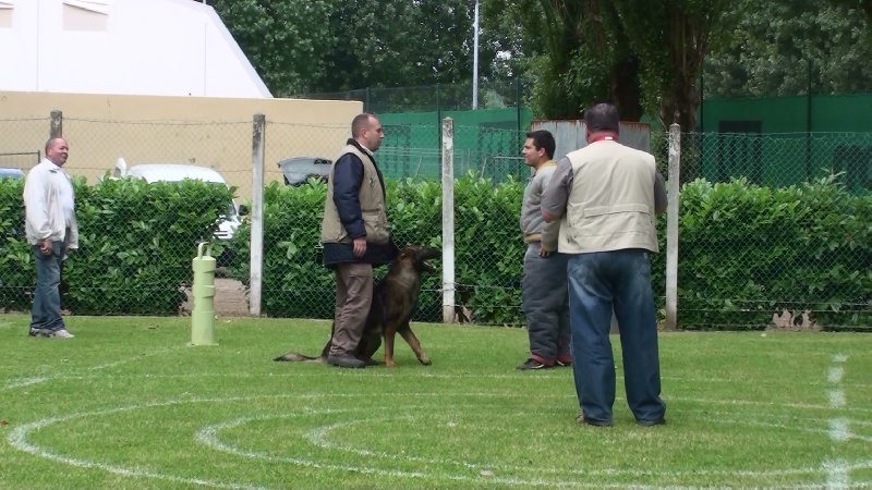 Publication : des Terres d'Avallon Auteur : BOYAVAL.S