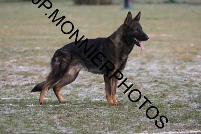 Publication : des Terres d'Avallon Auteur : BOYAVAL.S