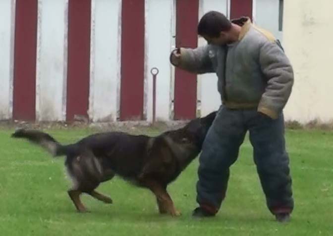 Publication : des Terres d'Avallon Auteur : BOYAVAL.S