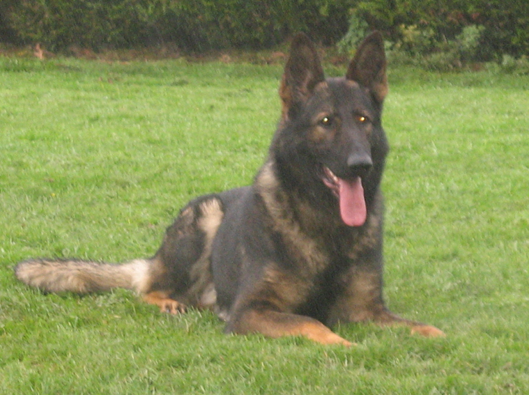 Publication : des Terres d'Avallon Auteur : BOYAVAL.S