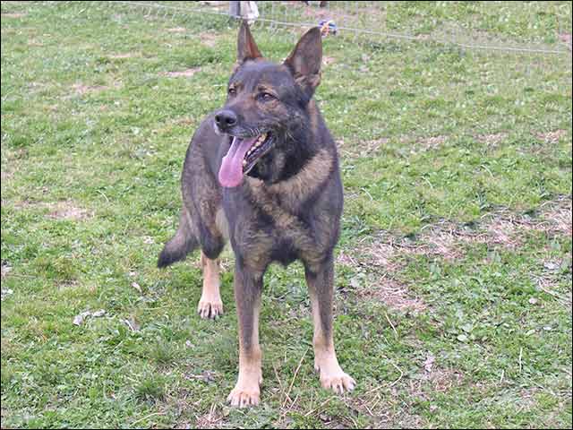 Publication : des Terres d'Avallon