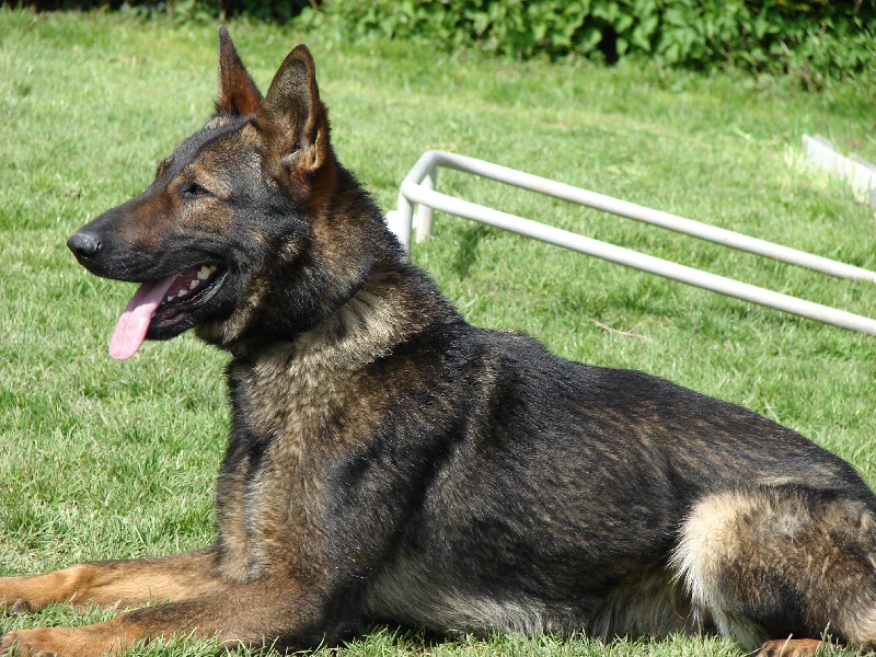 Publication : des Terres d'Avallon Auteur : BOYAVAL.S