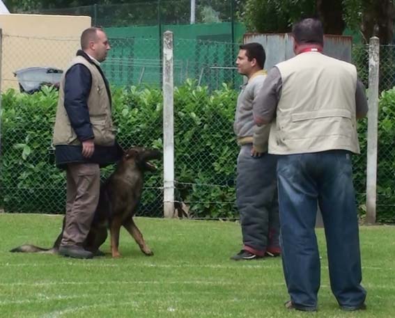 Publication : des Terres d'Avallon Auteur : BOYAVAL.S