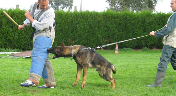 Publication : des Terres d'Avallon Auteur : BOYAVAL.S