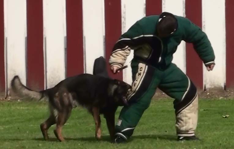 Publication : des Terres d'Avallon Auteur : BOYAVAL.S