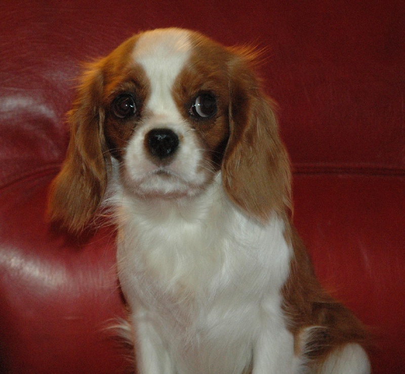 Groove baby groove du pré au comte