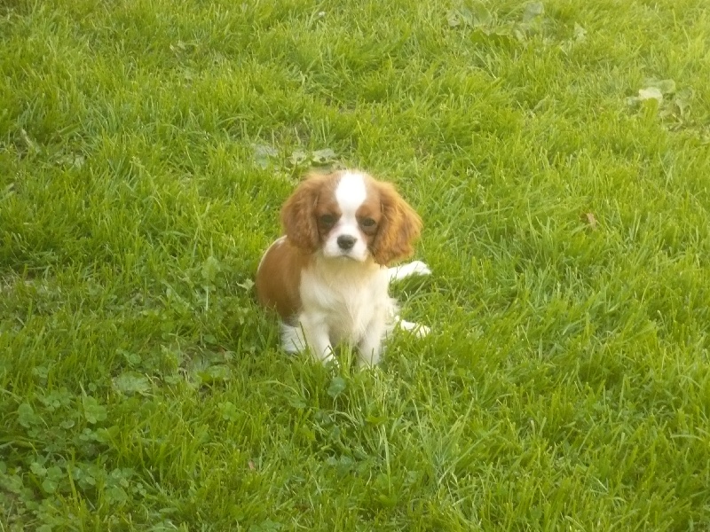 Groove baby groove du pré au comte