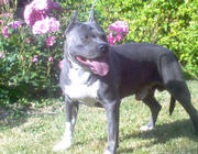 Publication : de la Vallée de l'Eau Vive Auteur : FLEURY KAURENCE