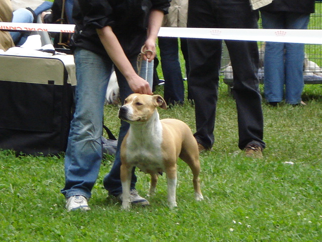 Publication : de la Vallée de l'Eau Vive Auteur : fleury et jacq
