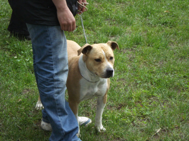 Publication : de la Vallée de l'Eau Vive Auteur : fleury et jacq