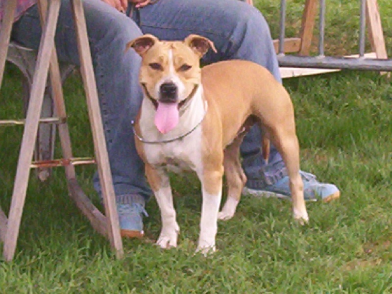 Publication : de la Vallée de l'Eau Vive Auteur : fleury et jacq