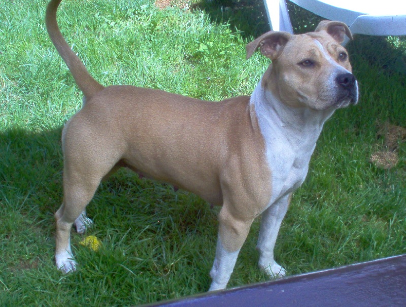 Publication : de la Vallée de l'Eau Vive Auteur : fleury et jacq