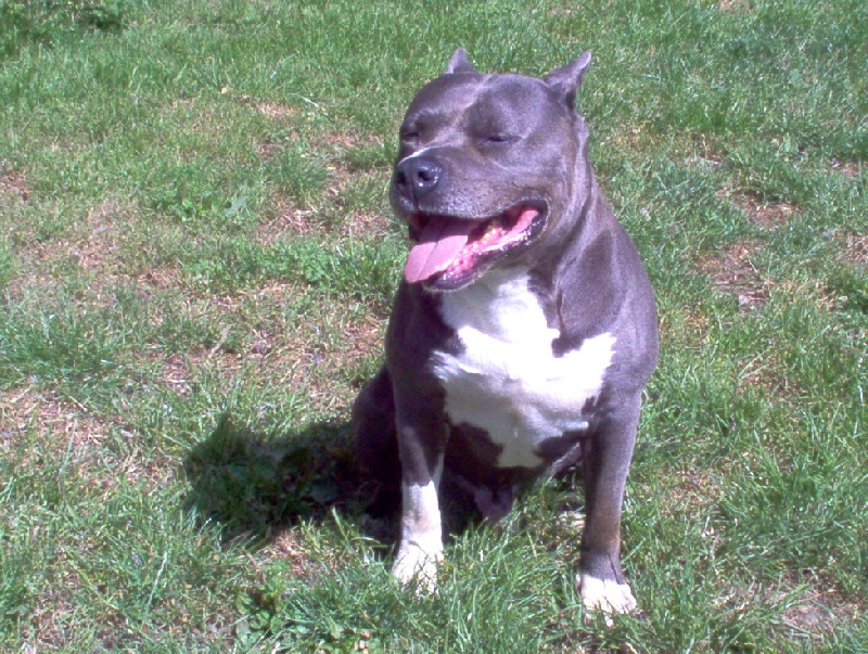 Publication : de la Vallée de l'Eau Vive Auteur : FLEURY KAURENCE