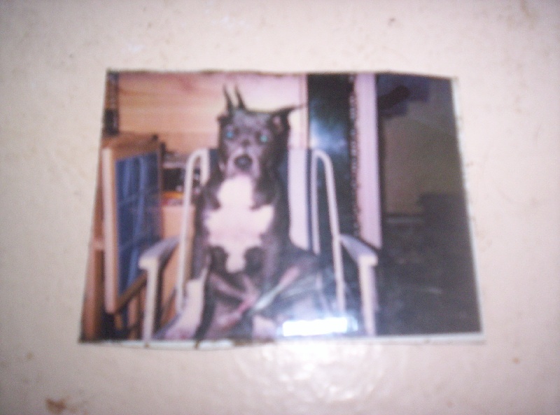 Publication : de la Vallée de l'Eau Vive Auteur : FLEURY KAURENCE