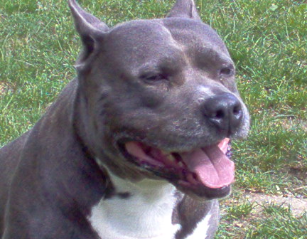 Publication : de la Vallée de l'Eau Vive Auteur : FLEURY KAURENCE