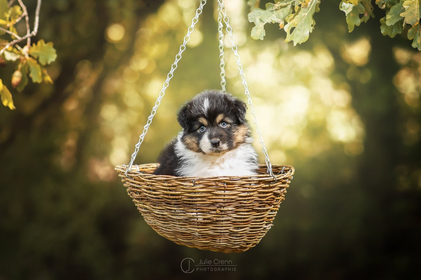 Publication : du chemin des korrigans Auteur : DCDK