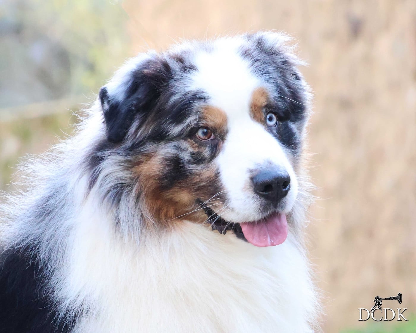 Pandora's box du chemin des korrigans