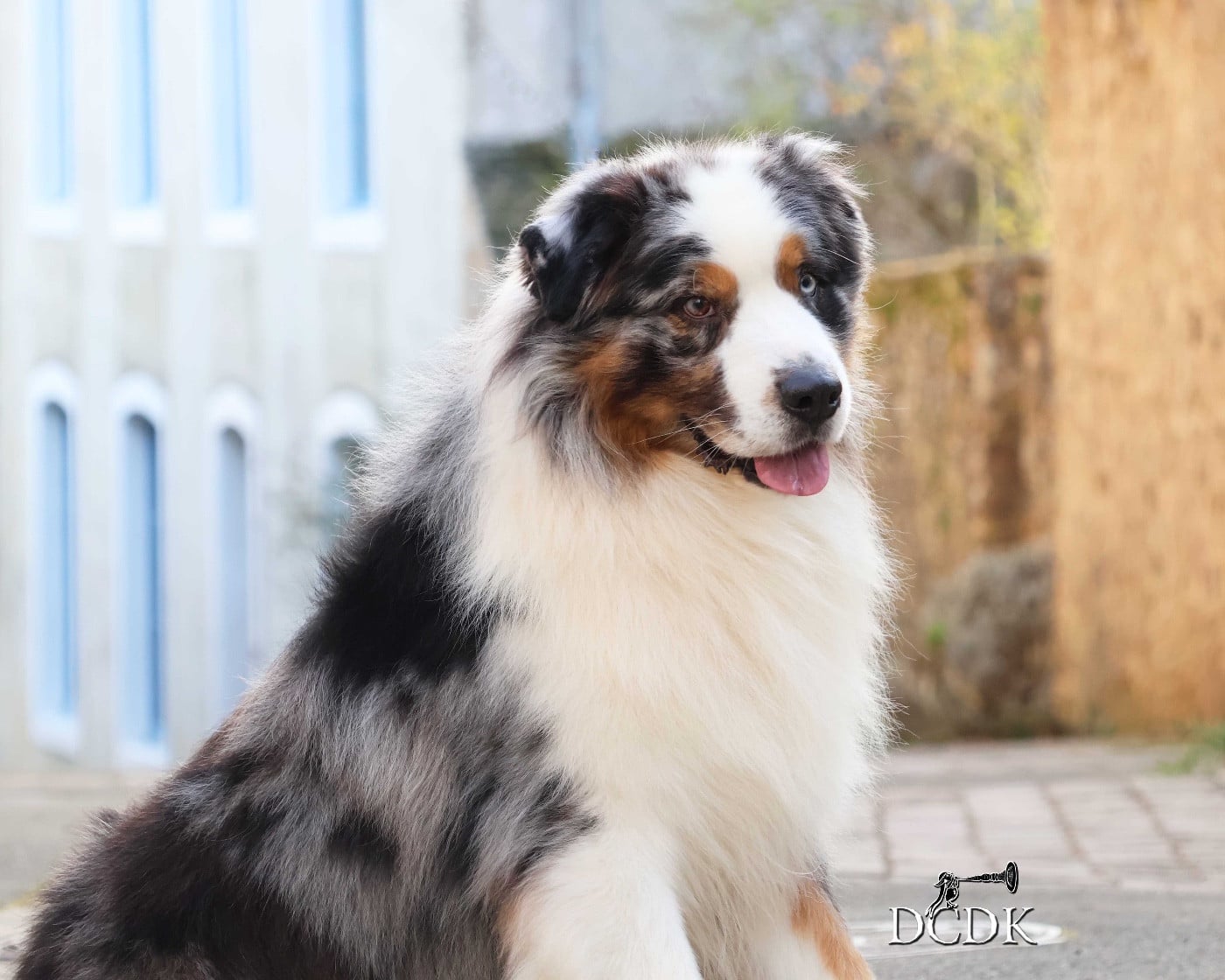 Pandora's box du chemin des korrigans