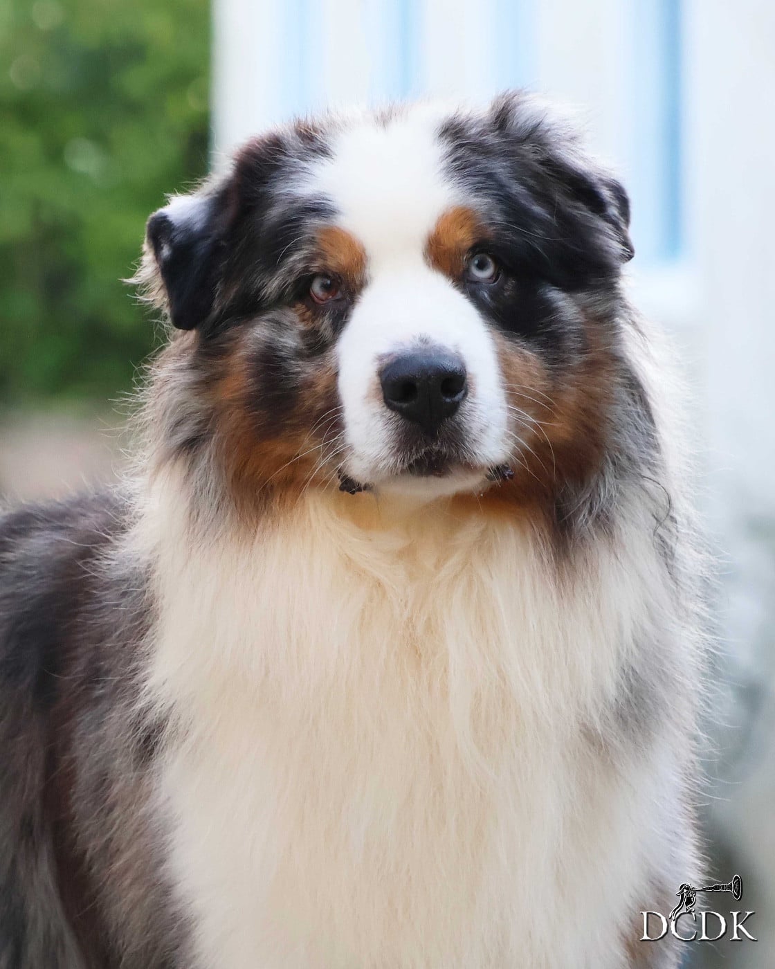 Pandora's box du chemin des korrigans