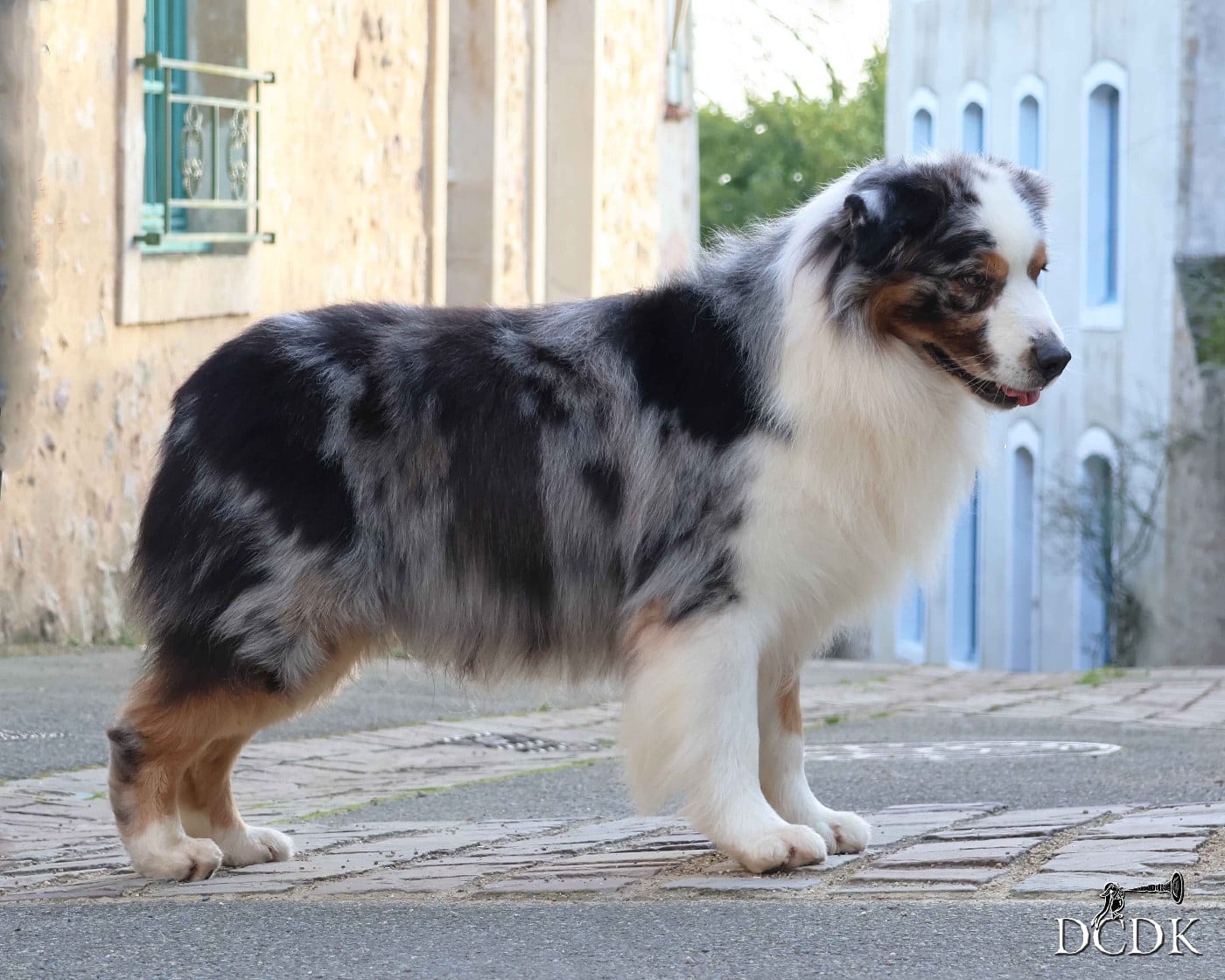 Pandora's box du chemin des korrigans