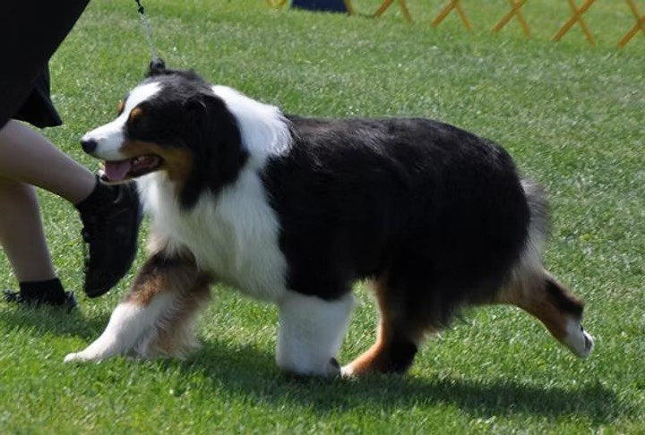 Publication : des Terres De Khairyaca