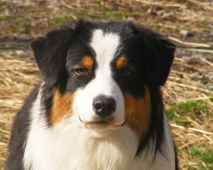 Publication : des Terres De Khairyaca