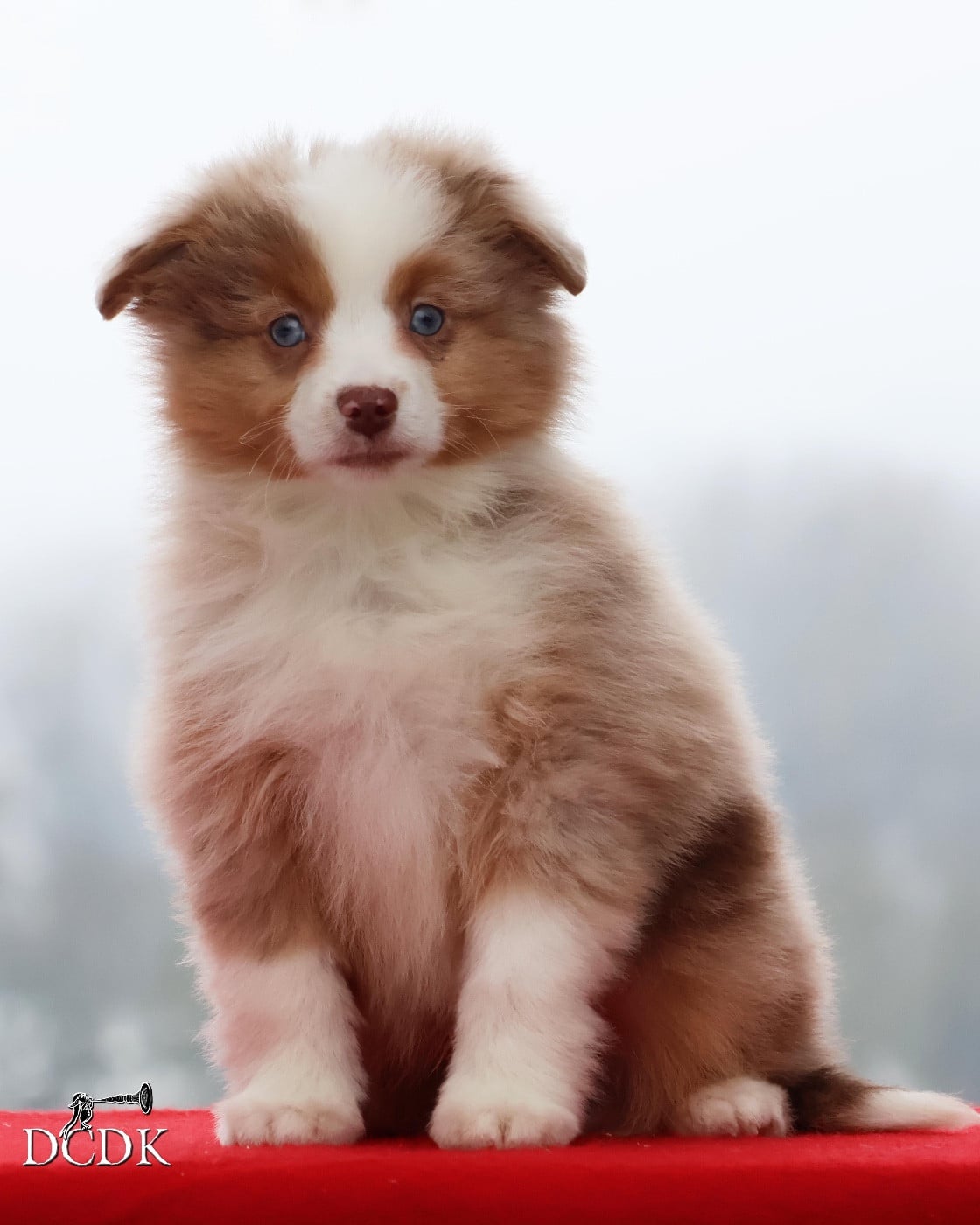 All Around the World