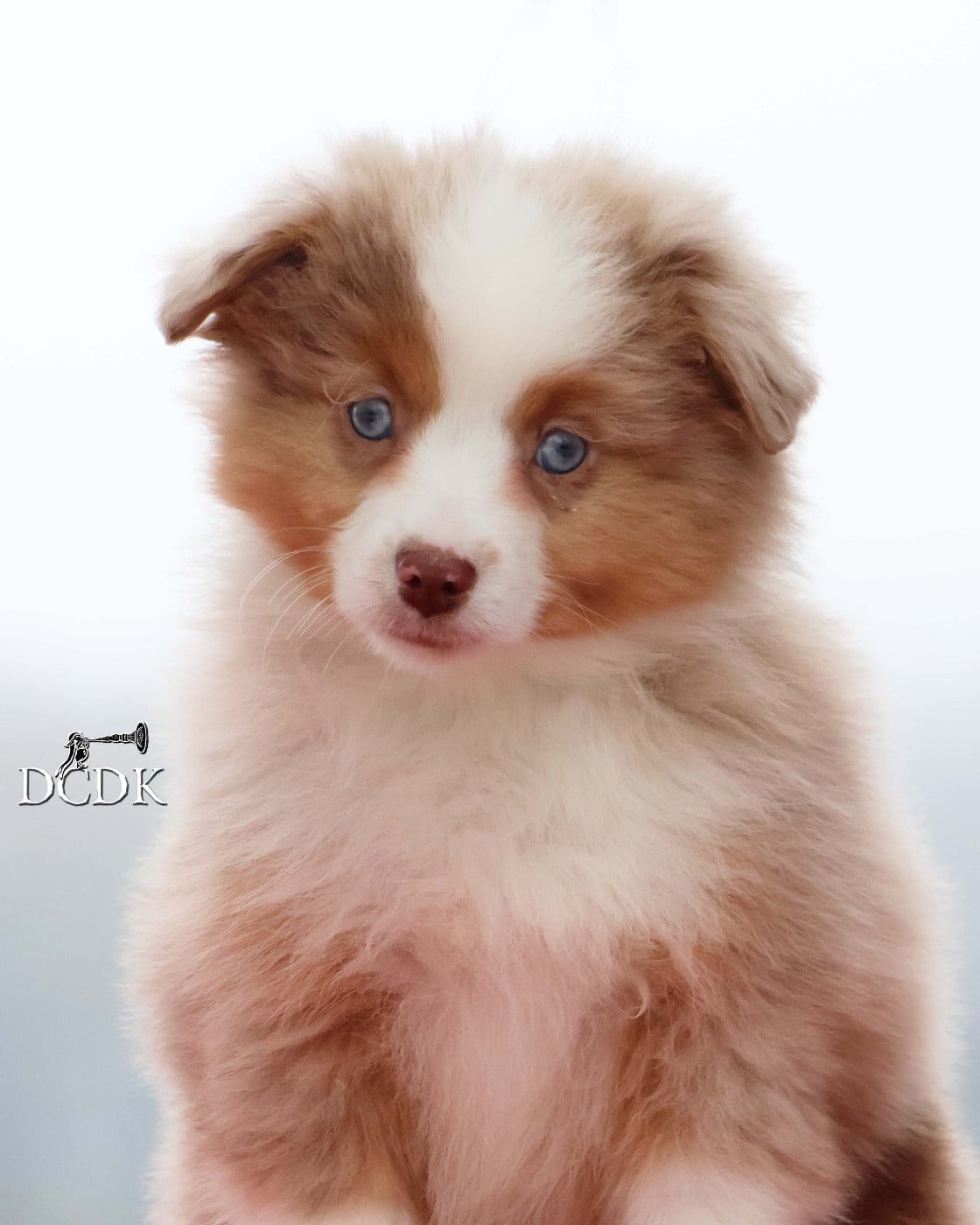 All Around the World