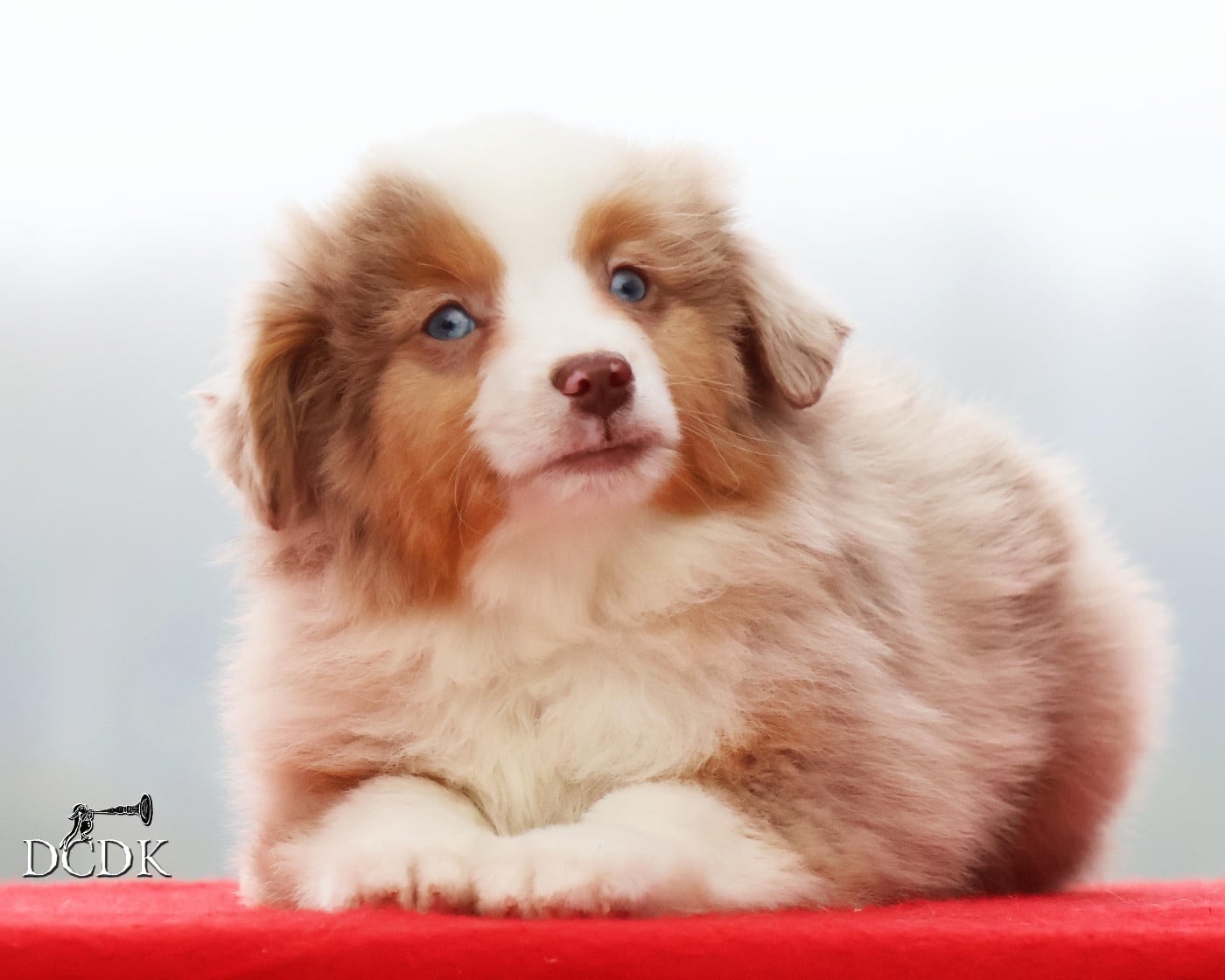 All Around the World