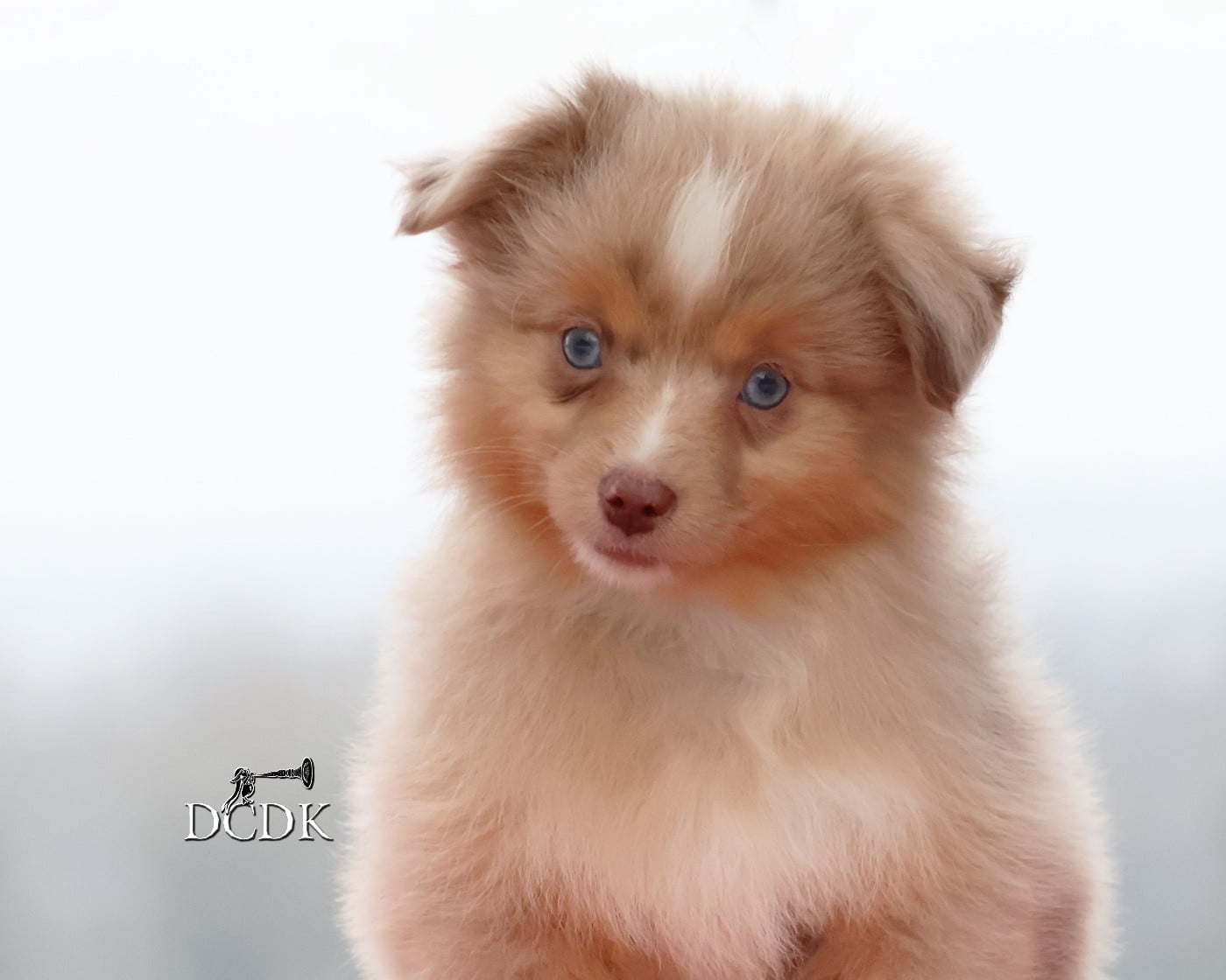 All's Well That Ends Well