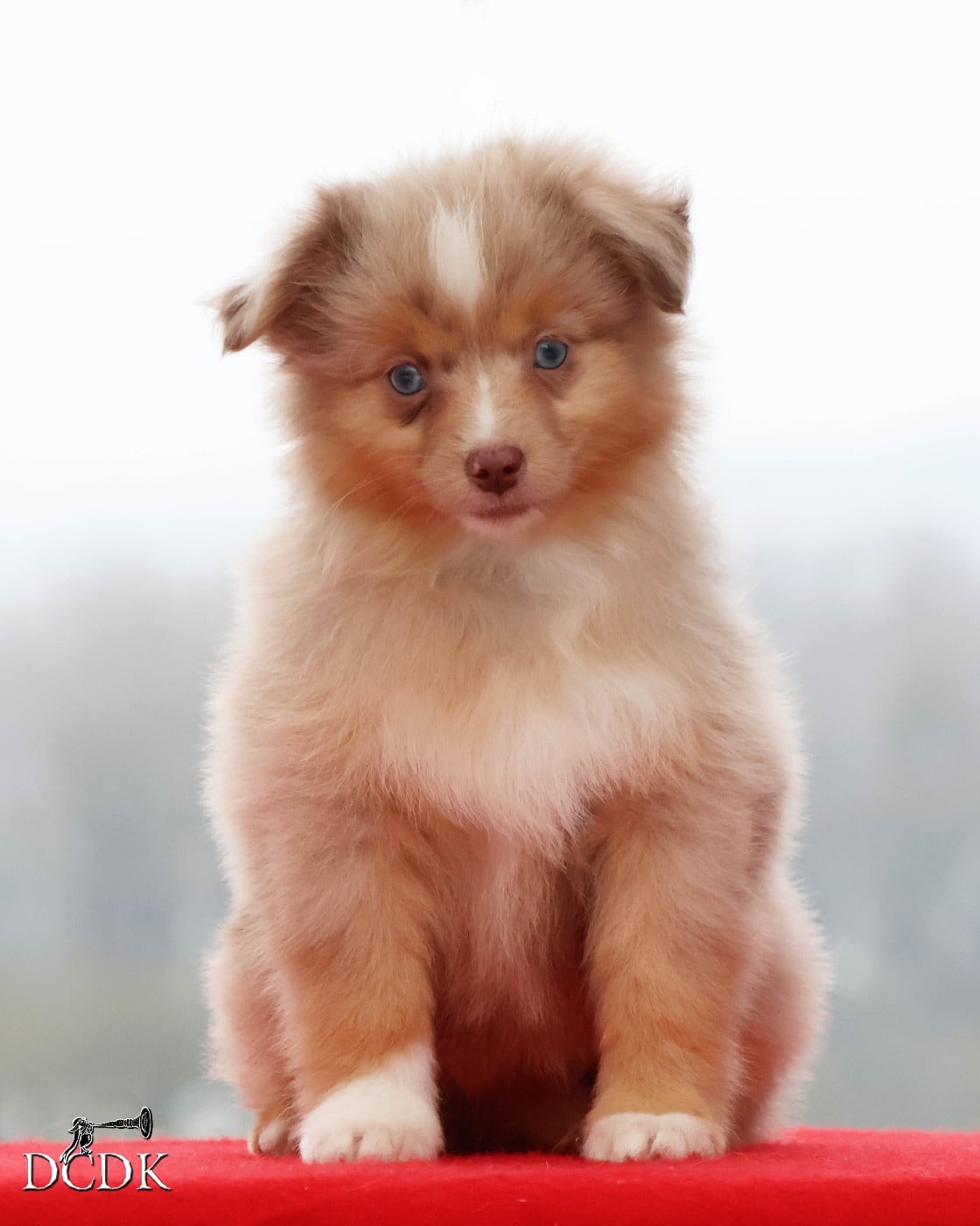 All's Well That Ends Well